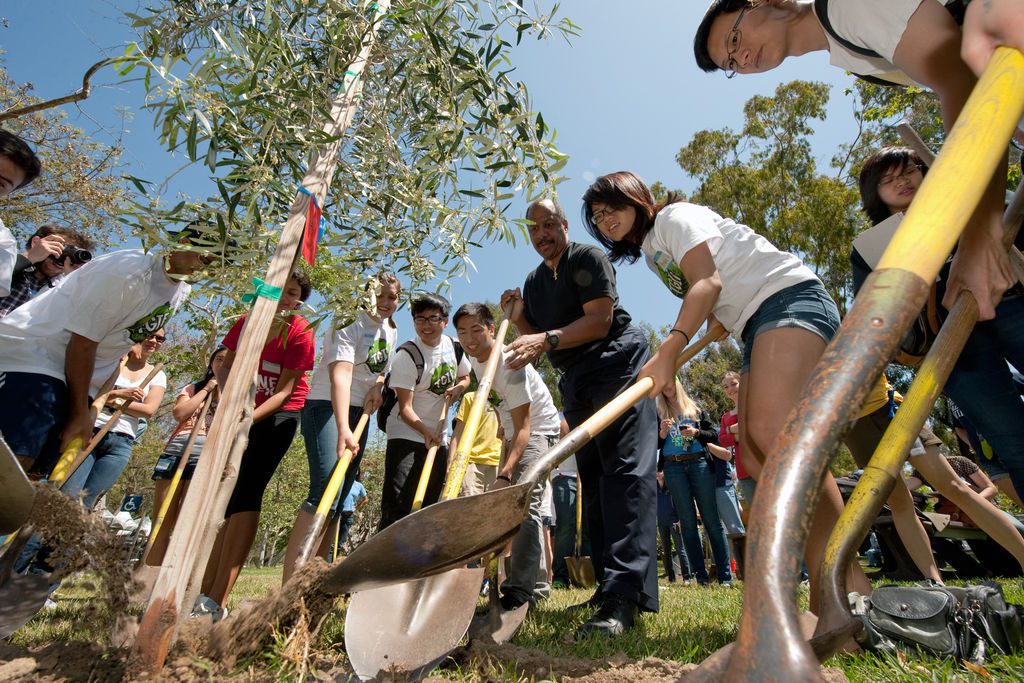 Sustainability Initiative Tree Planting Photo