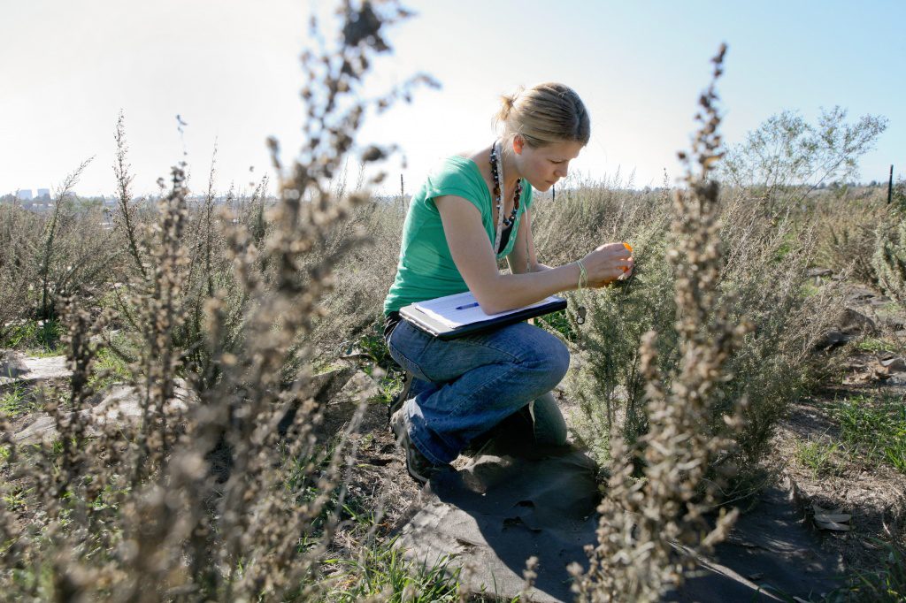 student studying in the field