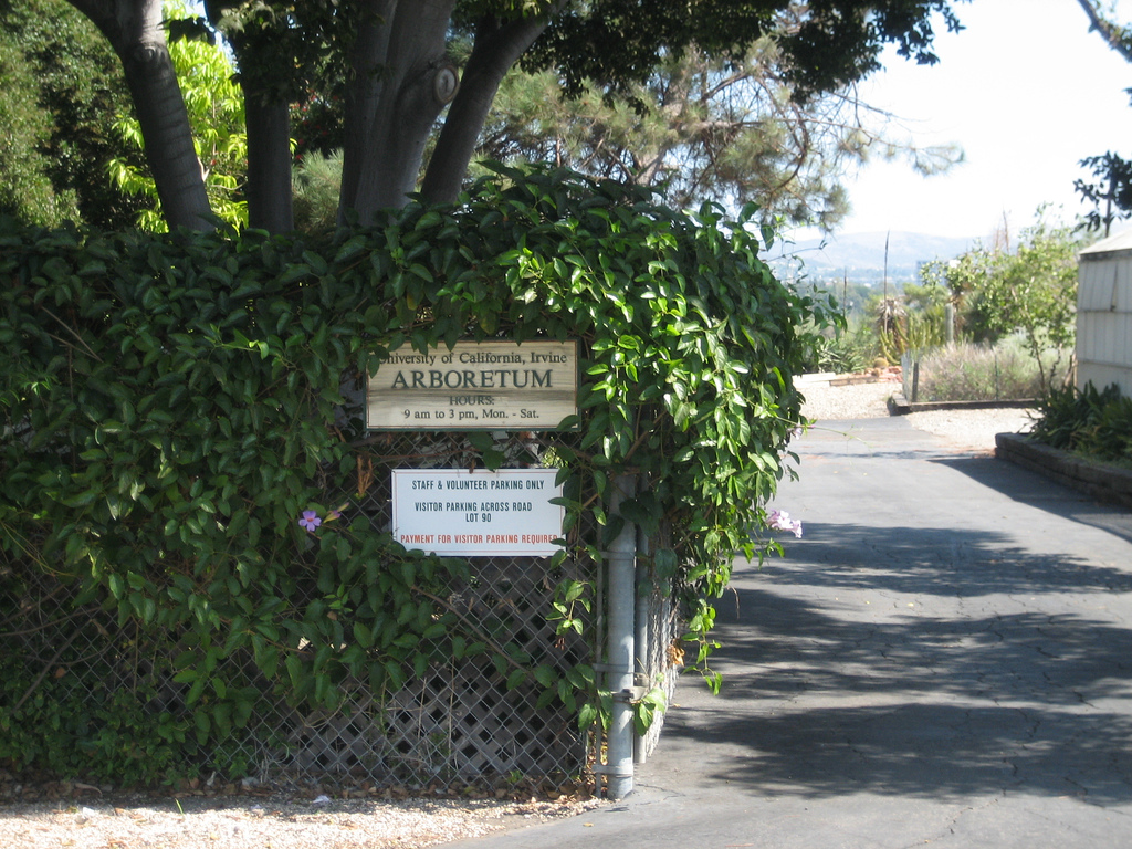 UC Irvine Arboretum