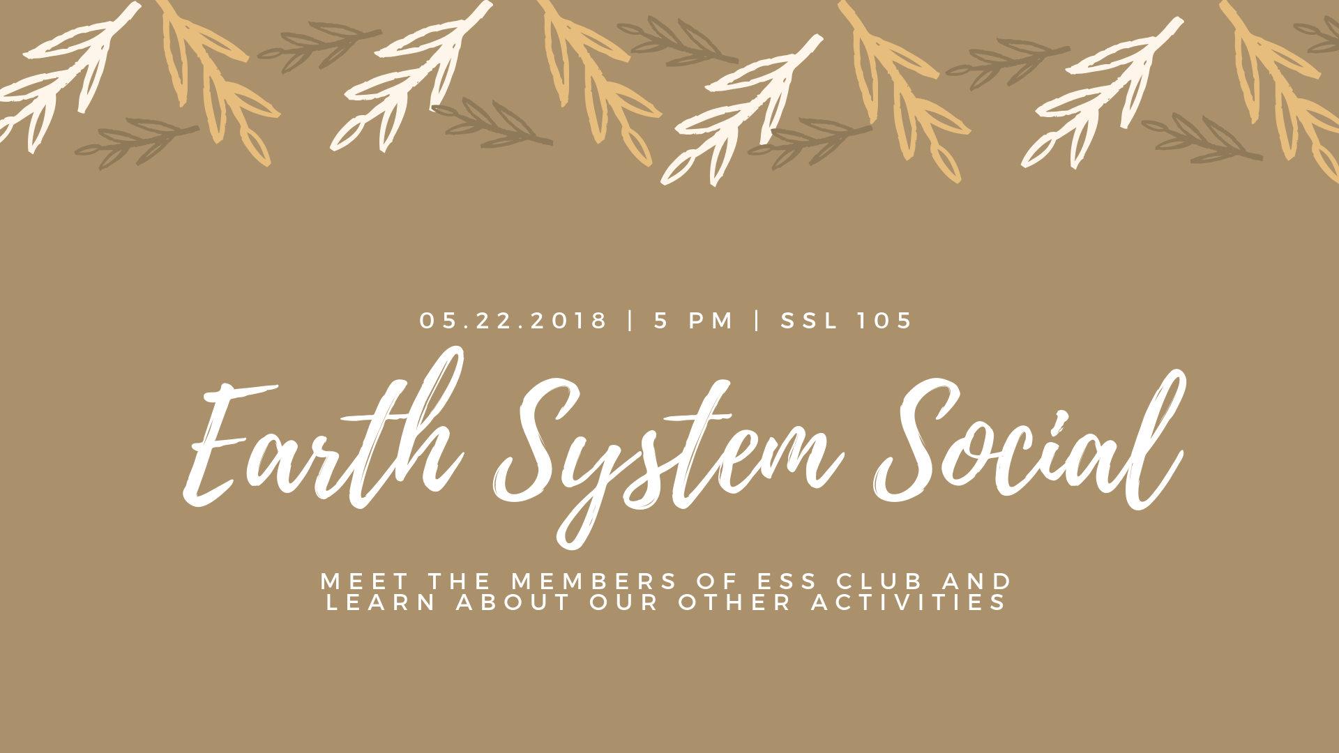 earth system social