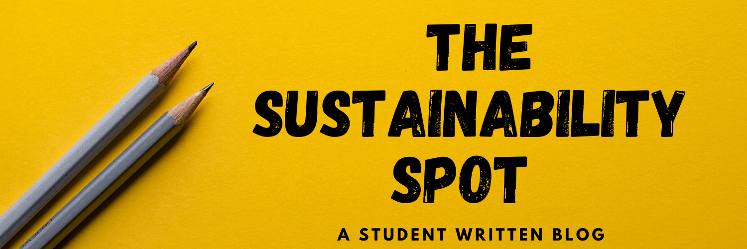 The Sustainability Spot - Student Written Blog