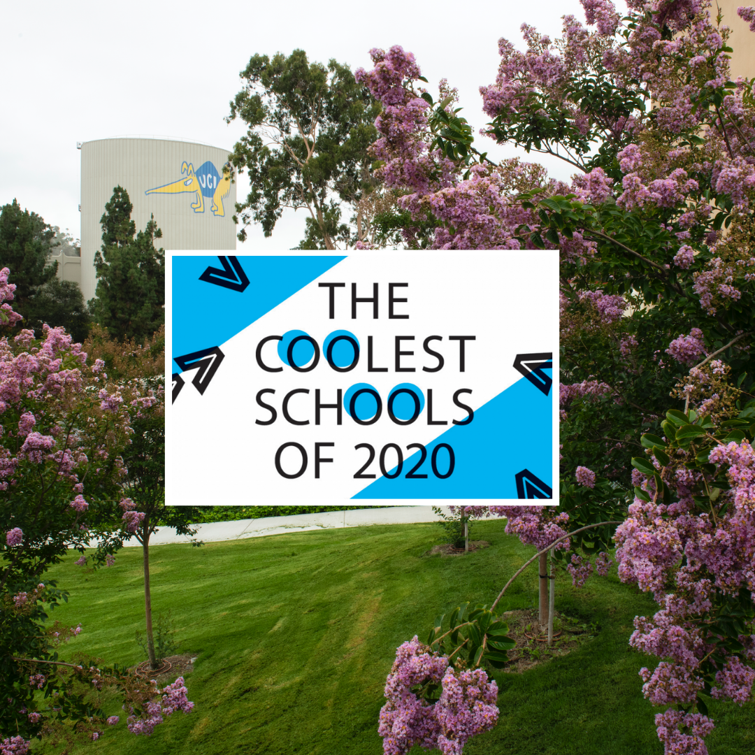 the coolest schools of 2020