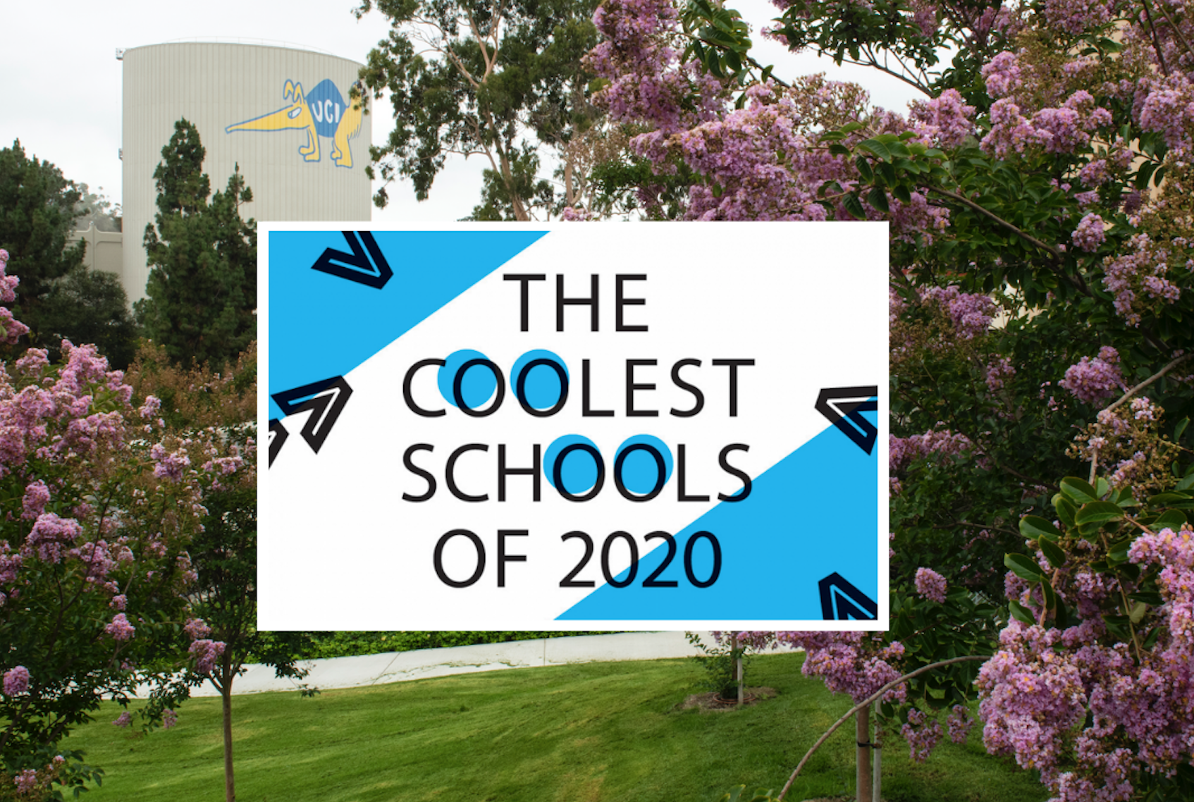 the coolest schools of 2020