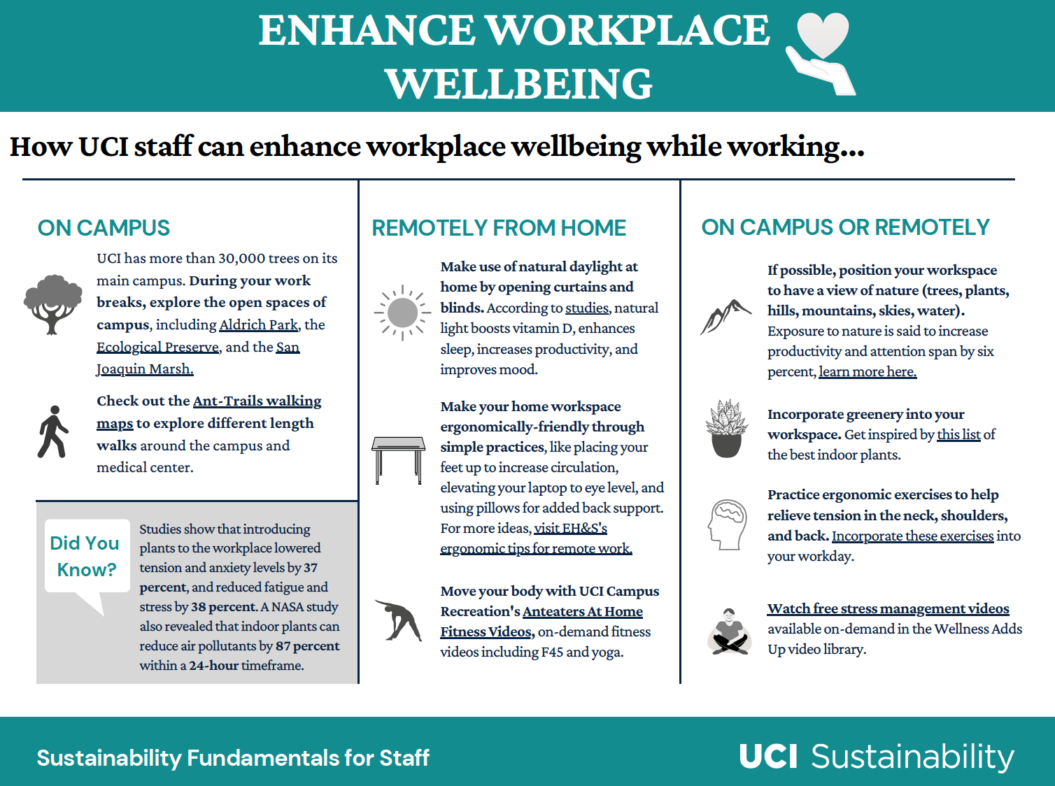 enhance workplace wellbeing