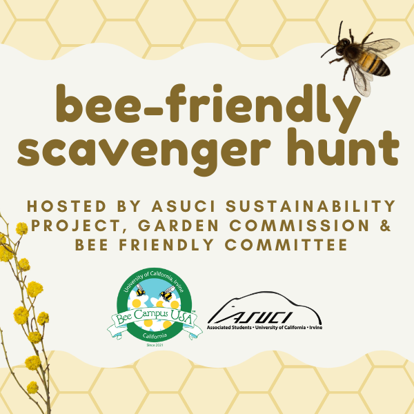 bee-friendly scavenger hunt