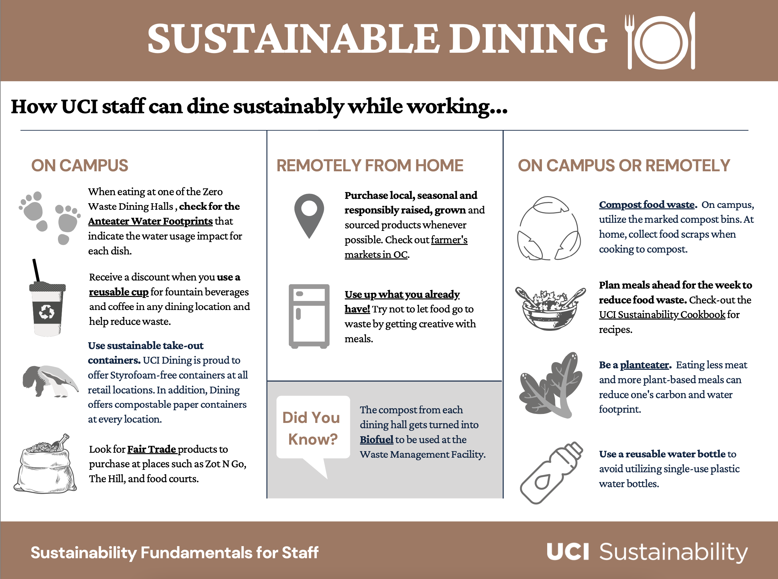 sustainable dining