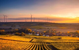 agricultural fields and wind turbines