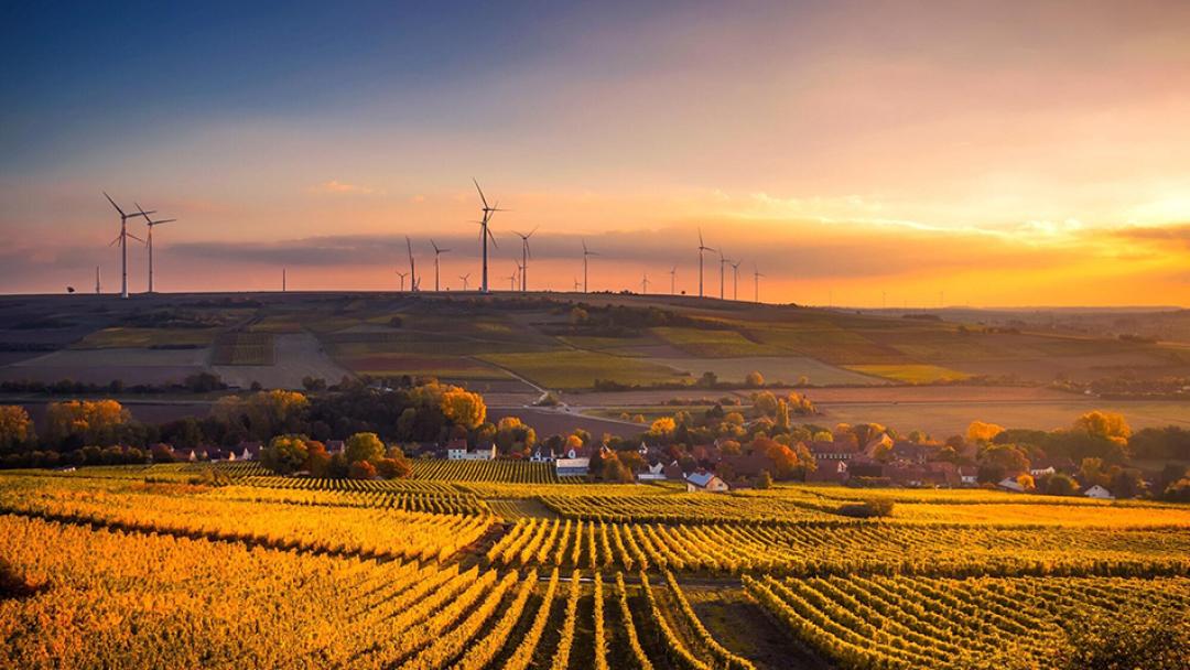 agricultural fields and wind turbines