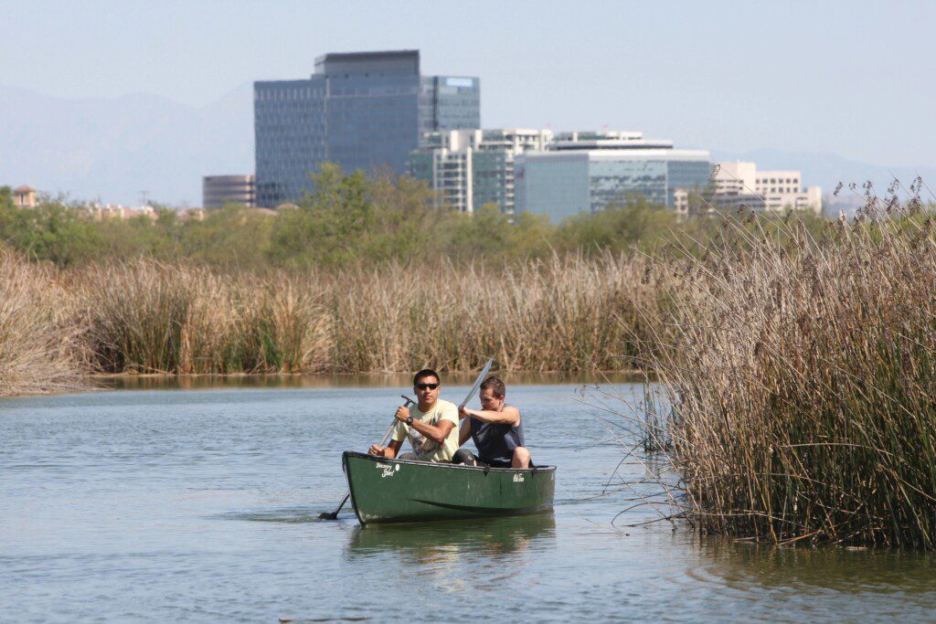 two people canoeing through a marsh