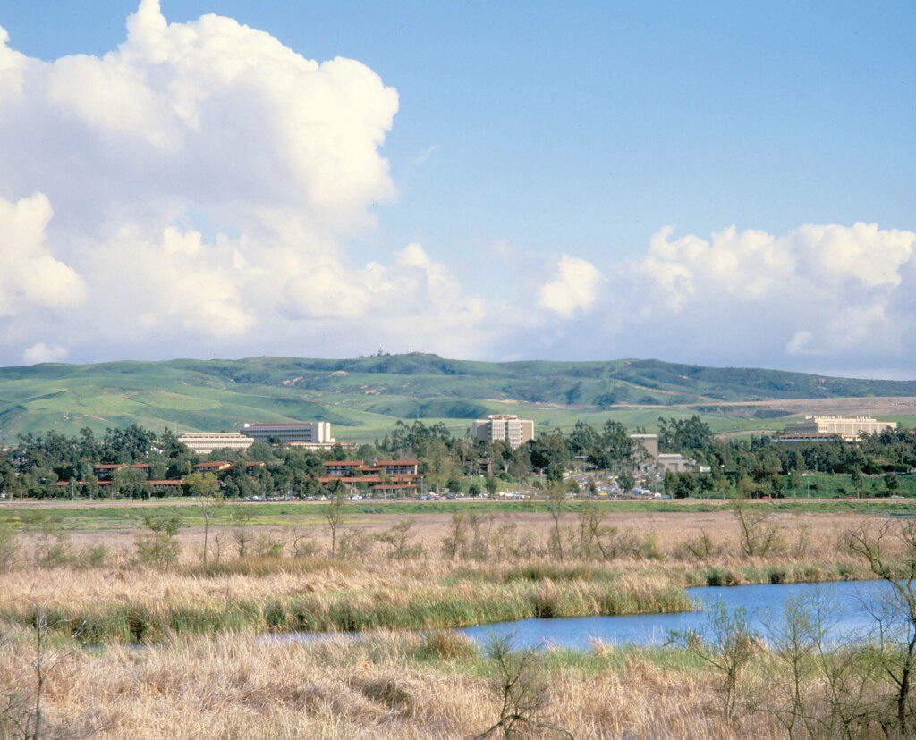 marsh in the forefront, buildings int he middle, and green hills with blue sky in the background