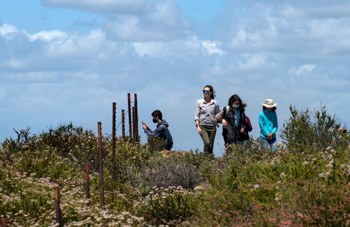 Earth Day 2022: Julie Ellen Coffey
Assistant Specialist 	
UCI-Nature leads a group during
UCI Ecological Preserve BioBlitz 2022. Participants document different things they find through the inaturalist app.
photo: Steve Zylius/UCI