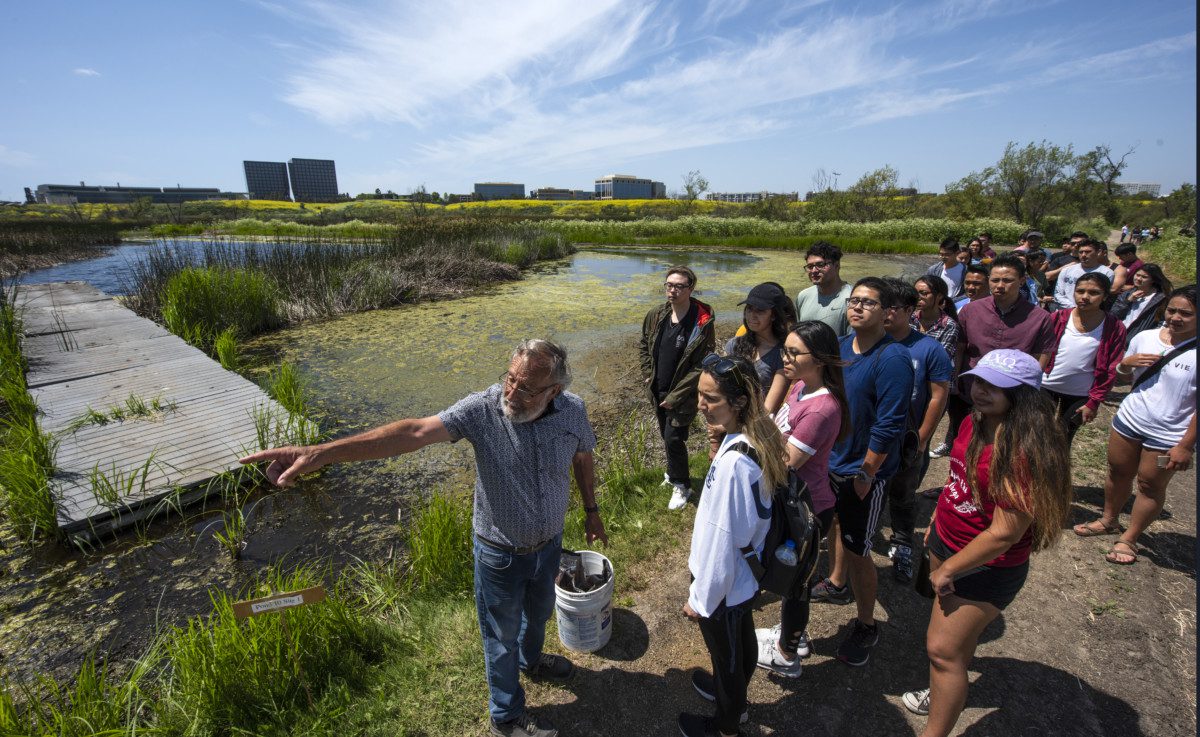 Professor Peter Bowler leads students in his field freshwater ecology class in the San Joaquin Marsh in the spring quarter.

photo: Steve Zylius/UCI