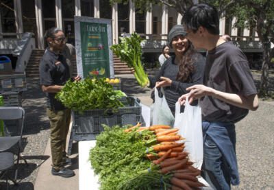 Students at the Sustainability fair